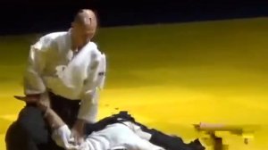 Показательные выступления Кириенко Сергеея Владиленовича на Фестивале Айкидо Торнадо 03.11.2016