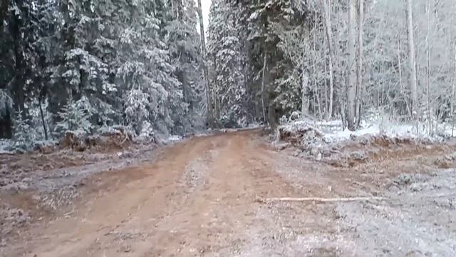 Будни Олега. Привет с первой избы. Мороз. Иду на охоту. смотреть онлайн