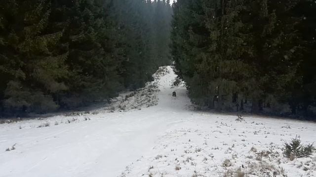 И уносит меня... смотреть онлайн