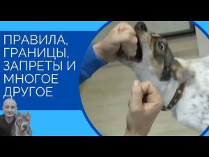 Правила, границы, запреты и многое другое