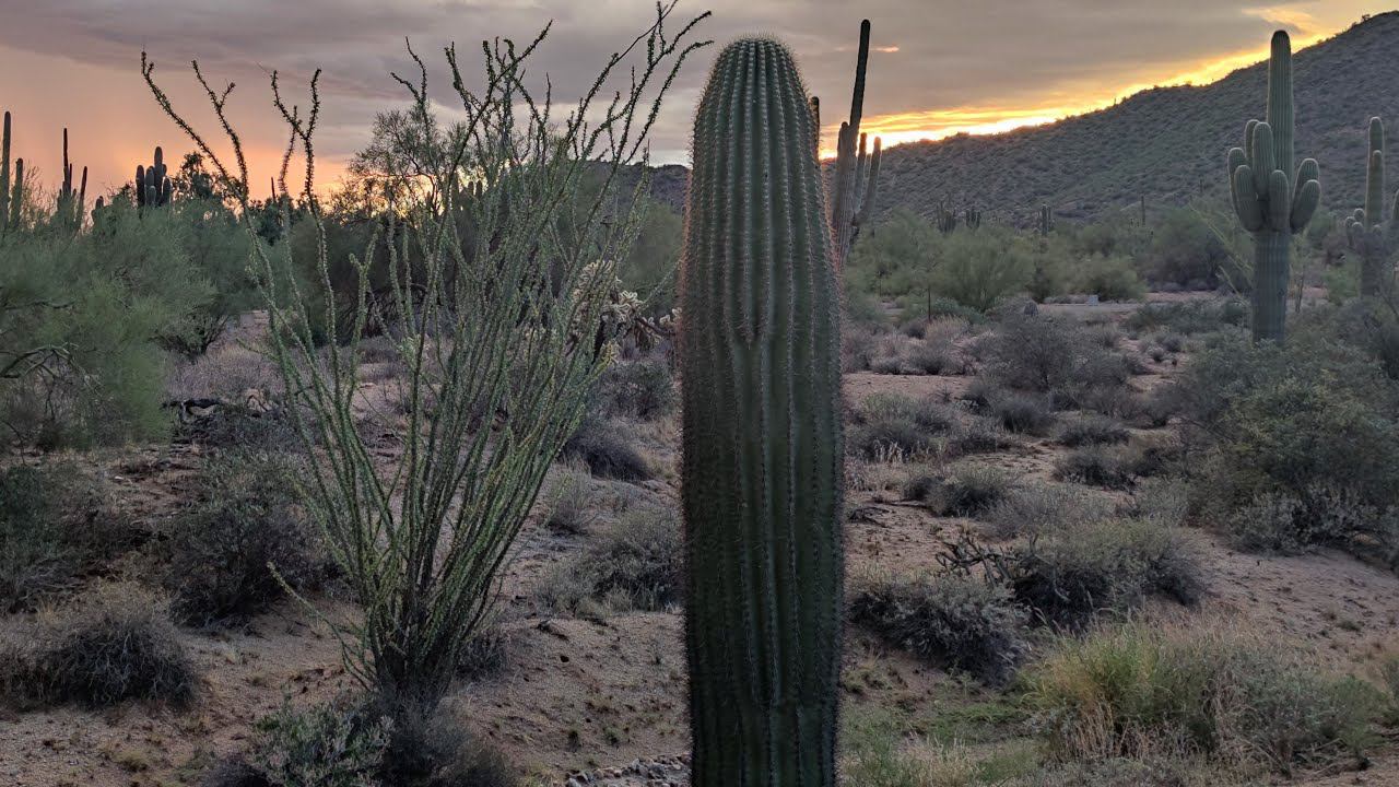 Экстрим Бенчрест 2022 без купюр. История в подробностях, результаты, выводы.