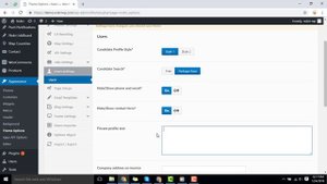 Theme Options of Nokri Job Board Wordpress Theme (Old Dec 3, 2018 )