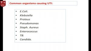 3.Candida