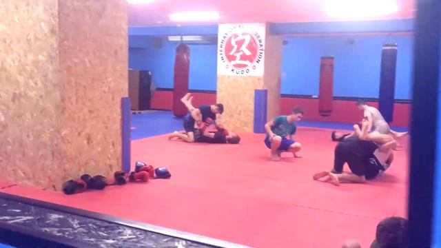 TERRASPORT — твоя территория спорта