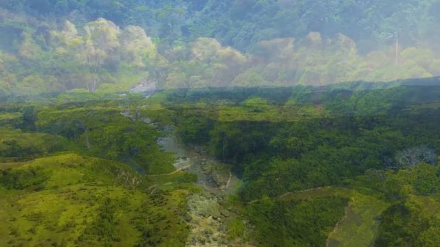 Flauta curativa tibetana | Liberación de melatonina y toxinas | Deshazte de toda mala energía #2 смотреть онлайн