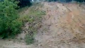 SUZUKI RM 250