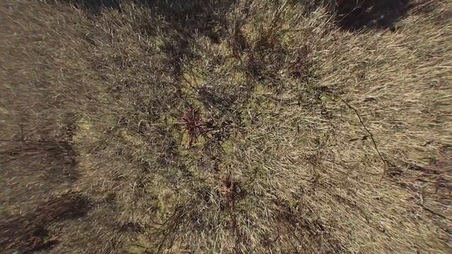 ЖЕНСКИЕ ПРЫЖКИ В ДЛИНУ смотреть онлайн