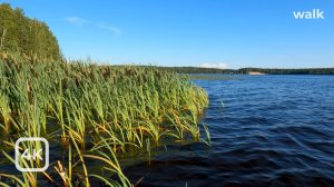 Вечерняя прогулка вдоль берега босиком