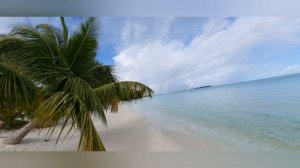 МАЛЬДИВЫ 2021 В МАЕ ( Sun Island Resort ). АРИ атолл ?