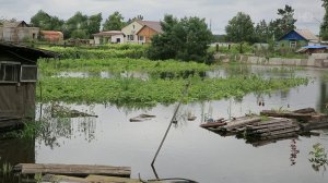 В Благовещенске всего за час выпала десятидневная норма осадков