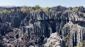 Путешествие по Мадагаскару в августе 2025-2026 года