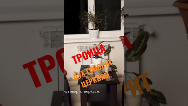 ТРОИЦА.ДУХ ГОВОРИТ ЦЕРКВЯМ .