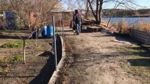 Выполнение команд/НЕМЕЦКАЯ ОВЧАРКА-8месяцев