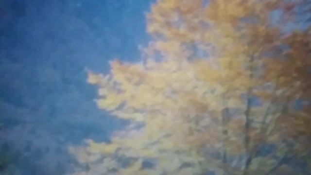 Суждения об ответе на вопрос "Где я?". Как и зачем быть в этой матрице. 04.11.2023