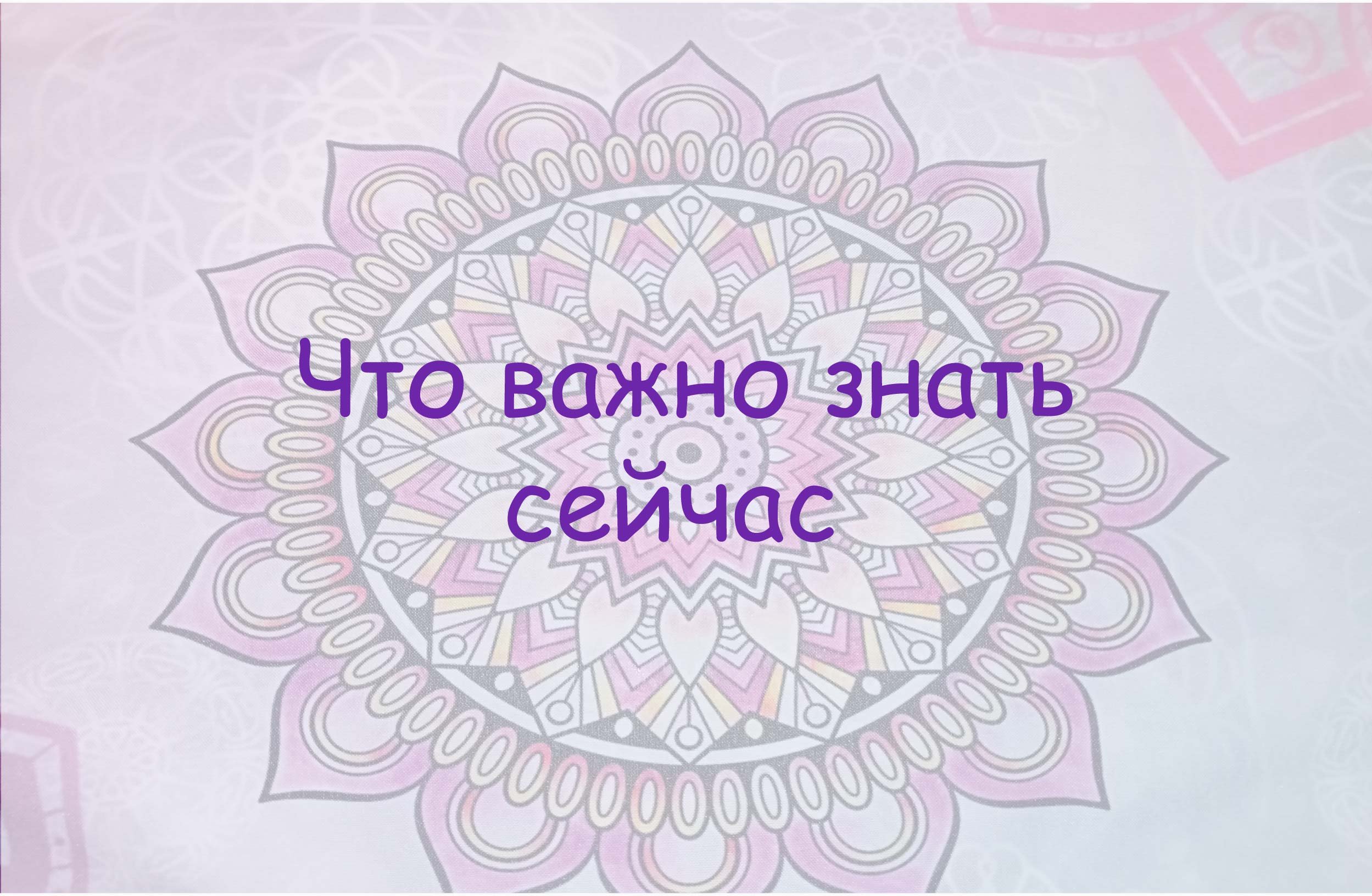 Что важно знать сейчас