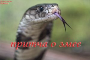 Притча о змее