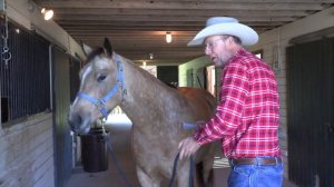 Treating Josey's Eyes - (Episode 129) - Herm Gailey: A Lifetime with Horses