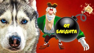 ФИНАЛЬНАЯ БИТВА с ДОКТОРОМ ЛИВСИ !! (Хаски Бандит) Говорящая собака