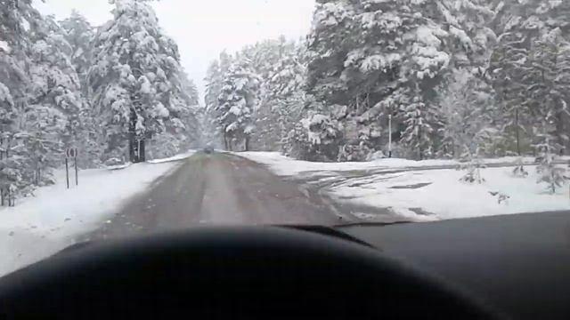 Алтайский край трасса Рубцовск-Благовещенка смотреть онлайн