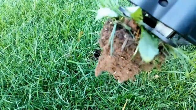 Fiskars Xact Weed Puller смотреть онлайн