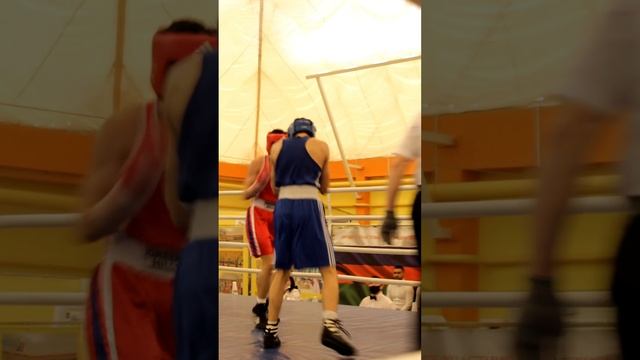 Boxing Juniors #fight #sport #knockout #knockdown #jab #martialarts #kickboxing #champion.mp4