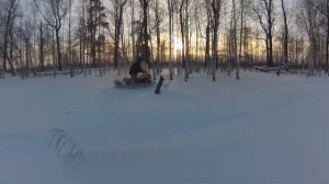 Dingo T150 по пухляку