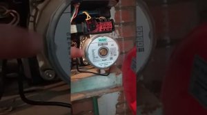 Проблемы котла Ferroli f32