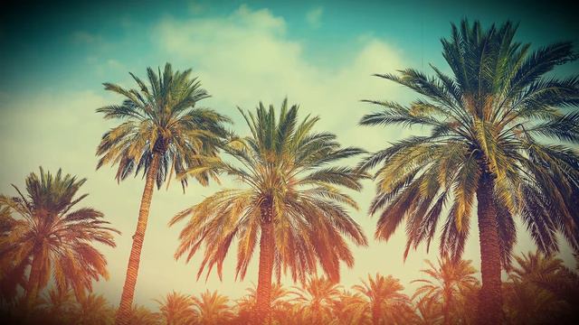 Фоновая музыка без авторских прав небо / Sky /музыка The Calm смотреть онлайн