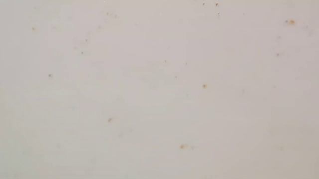 БОЛЬШОЙ ТЕСТ МАСЛА PARTNUMBER 710 НА ПЯТИ АВТОМОБИЛЯХ что покажет анализ через 5,8 и 10.000 км