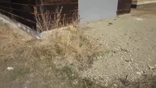 Дом из бруса. С чего все начиналось. Планировка земельного участка. Гараж из шпал. смотреть онлайн