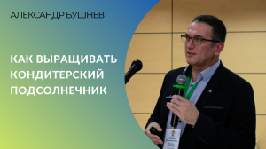 Как выращивать кондитерский подсолнечник | Александр Бушнев, ВНИИМК