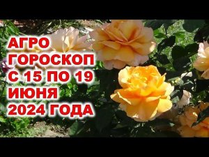 Агрогороскоп с 15 по 19 июня 2024 года. Agrohoroscope from June 15 to June 19, 2024