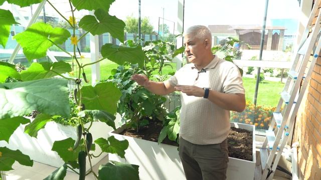 Круглогодичная теплица. Зимняя теплица. Построить зимнюю теплицу.