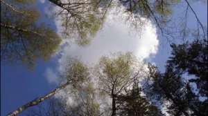 Посмотри вверх