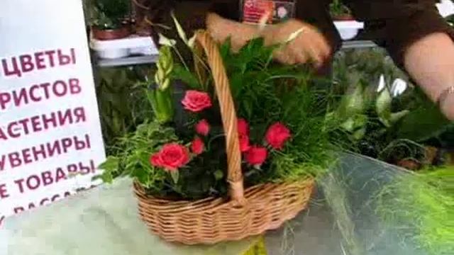 Уроки фитодизайна: корзина с комнатными цветами!