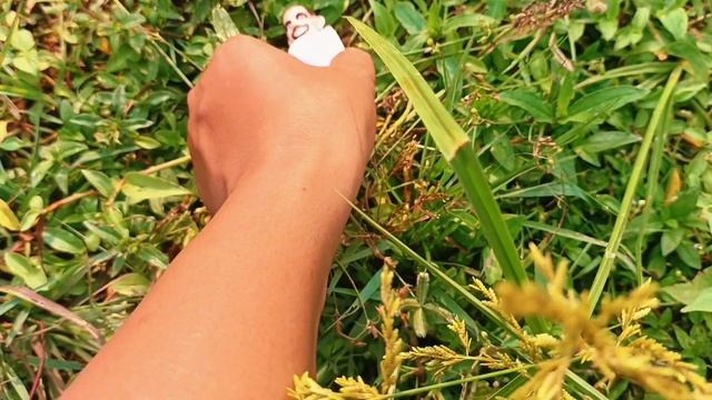 Hunting Skibidi Toilet, Titan,Speaker Men, Inodora, Kamera Head, Monitor Head, смотреть онлайн