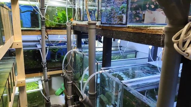 Заказ 1400шт. И другая работа... смотреть онлайн