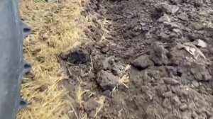 Оборотный плуг Добрыня против Лемкен Диамант-16