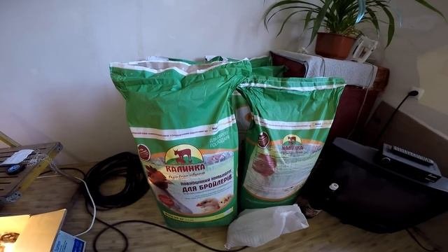Выращивание бройлеров в Домашних Условиях Чем кормить цыплят бройлеров - ZOLOTYERUKI
