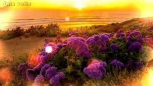 ДОБРЫЙ ВЕЧЕР! Красивое пожелание с добрым вечером! Музыкальная открытка))