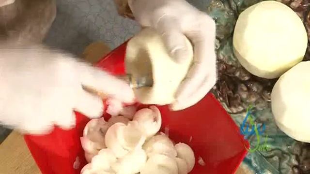 malga 497 смотреть онлайн