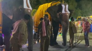 Фестиваль в Тирупати 2023 г.#путешествие #индия #фестиваль #ретриты