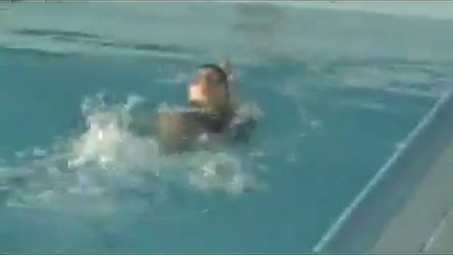 Plavecký klub Považská Bystrica смотреть онлайн