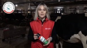 Спрей для защиты ран Жидкая кожа