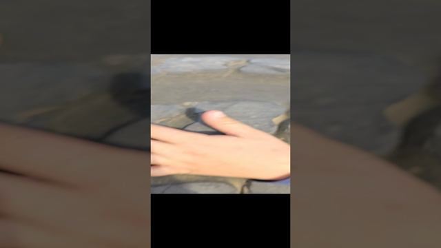 Аца зверь /Клуб"АРС"Донгарон/Продолжение будет))))