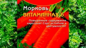 8 ЛУЧШИХ сортов МОРКОВИ под ЗИМУ! Сорта моркови под зиму.