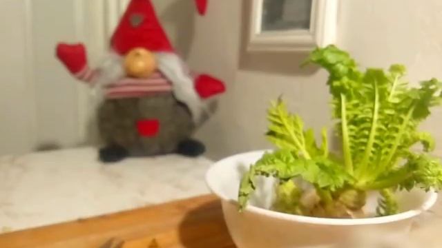 КРЕМНИЙ ОМОЛАЖИВАЕТ КОЖУ И КРЕМНИЙ НА ПОДОКОННИКЕ У КАЖДОГО 30 декабря 2017 г. смотреть онлайн