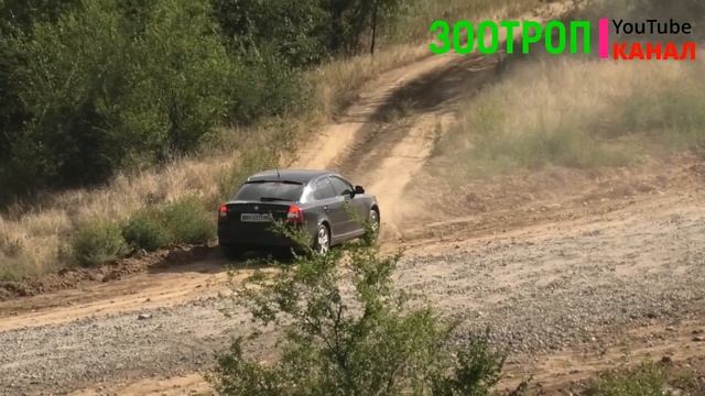 Адская дорога на устричную ферму. Тилигульский лиман. Устрицы Скифии. Ойстервиль. Тилигул. смотреть онлайн