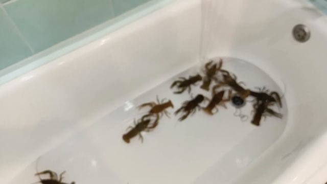 ВКУСНЯТИНА ?? смотреть онлайн