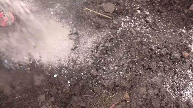 ДОБАВЬТЕ ЭТО В ЛУНКИ ПРИ ПОСАДКЕ КАПУСТЫ ДЛЯ БОЛЬШОГО КОЧАНА смотреть онлайн